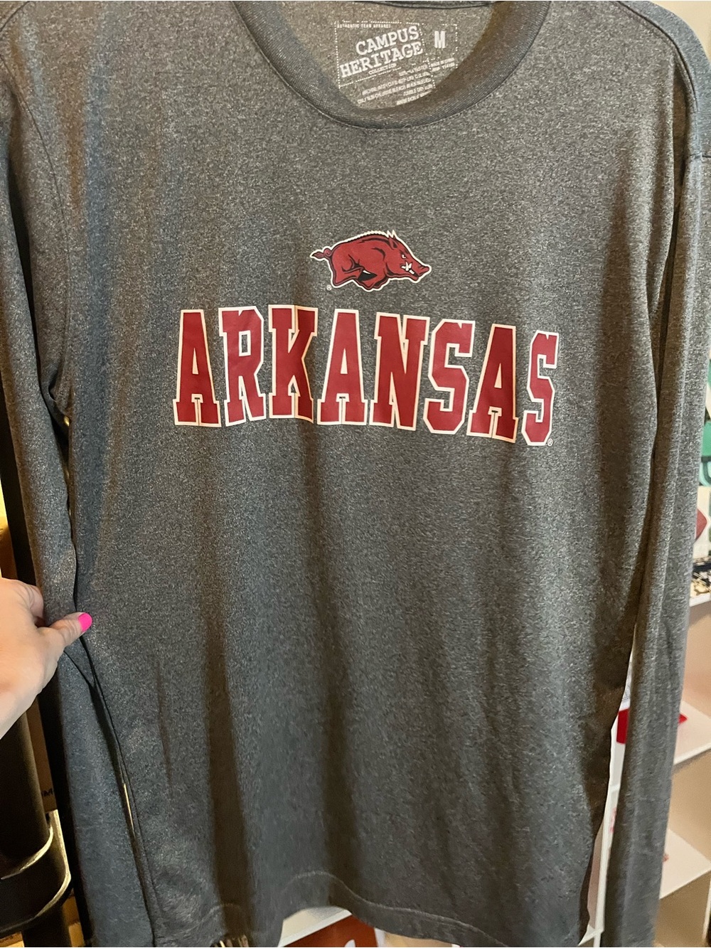 ARKANSAS Campus Heritage - Picture 2 of 3